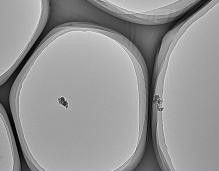 上海易微信息科技 超薄碳膜技术的创新与应用