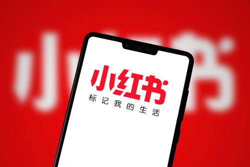 广州小红书达人推广攻略 如何在网络科技领域高效开展技术开发推广